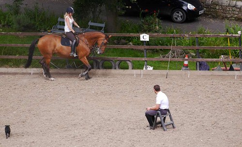Intense Dressage Training